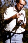 vic, chapple island tiger.jpg