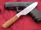 Bocote hunter 1.JPG