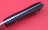 Kingswood hunter wout bolster taper.JPG