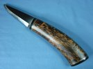 DSC02031-1.jpg