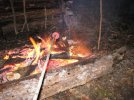 IMG_1671.jpg