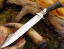 BR_Stag_Bowie.jpg