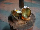 DSC09532.jpg