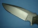 DSC06421-1.jpg