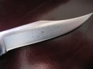BF 139_3929.jpg