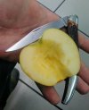IMG_20181023_140938.jpg