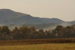 DSC03665ed.jpg