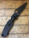 para2.JPG