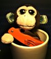 Monkey ukpk.JPG