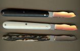 John Lloyd budding knies 483.jpg