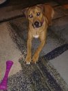 IMG_20181028_183613~3.jpg
