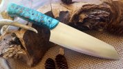 Petty in Turquoise pinecone right.jpg Petty in Turquoise pinecone right.jpg