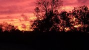 20181102_183854.jpg