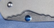 PlainSebenzaLg111-1.jpg