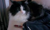 Doudou.jpg