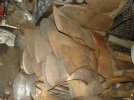 DSC09013.JPG