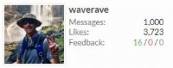 1000_posts.jpg