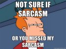 sarcasm.jpg