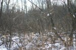 IMG_2856_.jpg