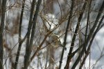 IMG_2859_.jpg
