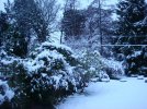 DSC06597.jpg