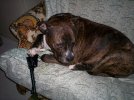 100_0821.jpg