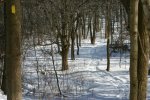 IMG_2884_.jpg