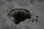 IMG_2891_.jpg
