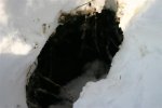 IMG_2895_.jpg