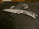 dogfish 005.jpg
