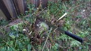 20181111_172715.jpg