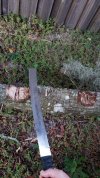 20181111_173116.jpg