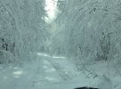 IMG_0651.JPG