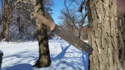 BK9 2018 first snow.jpg