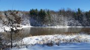 Pond Forest Area Nov 18 2018.jpg