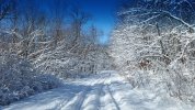 Stevens Forest Area Luca Unit Nov 18 2018.jpg