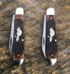 GEC_85_beaver_01.jpg