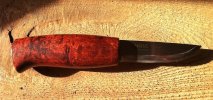 HELLE POLAR.JPG