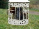 DSCF2925 SQUIRREL BIRD FEEDER 700 MED.jpg