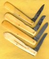 Ivory Budders 1.jpg