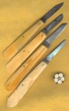 Ivory Budders 3.jpg