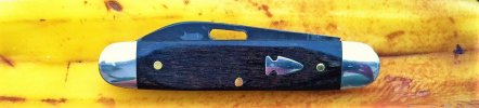 Northwoods Indian River Jack.JPG