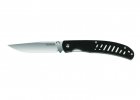 G10Hawk.jpg