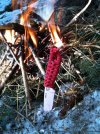 izula_fire_switzerland.jpg
