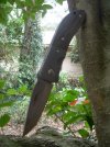 DSCN0594.jpg