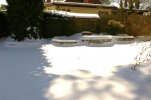 Snow 1-30-10 004.jpg