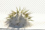 Snow 1-30-10 019.jpg