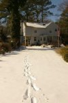 Snow 1-30-10 014.jpg
