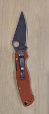 para2rex45_2.jpg