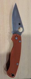 para2rex45_3.jpg